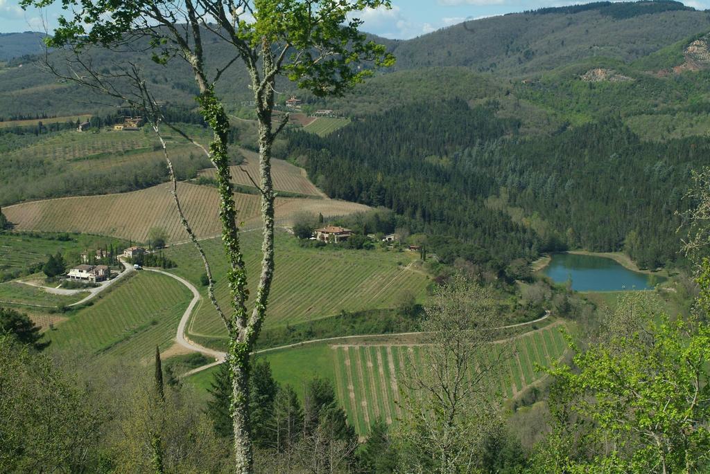 Agriturismo Vinci Gaiole in Chianti Eksteriør billede