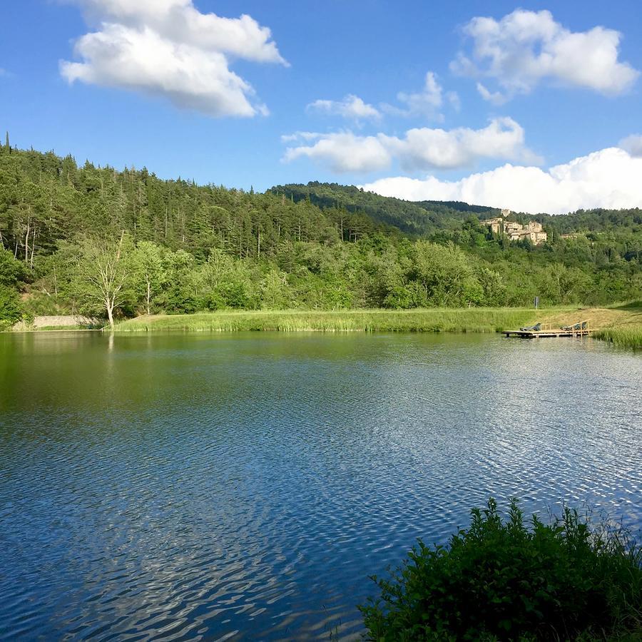 Agriturismo Vinci Gaiole in Chianti Eksteriør billede